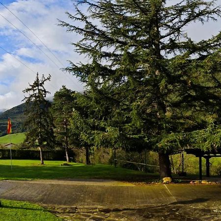 El Nial De Los Pinos Ojedo Kültér fotó