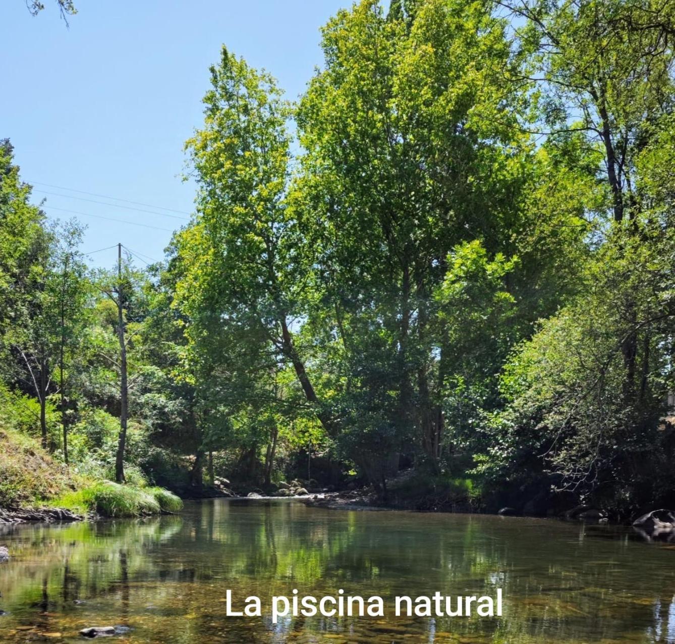 El Nial De Los Pinos Ojedo Kültér fotó